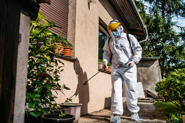 Best Pest Inspection Near Me  in Pana, IL