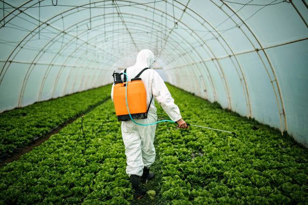 Best Pest Control Cost  in Pana, IL