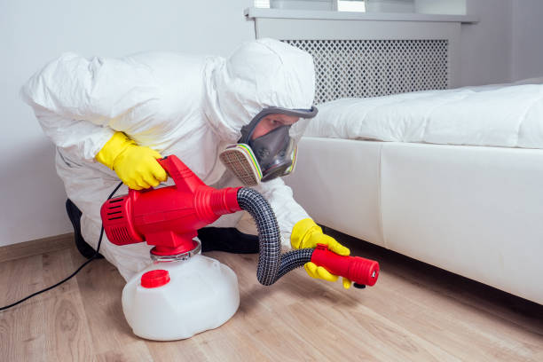 Best Pest Control Treatment  in Pana, IL
