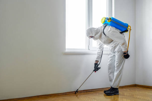 Best Pest Inspection Near Me  in Pana, IL